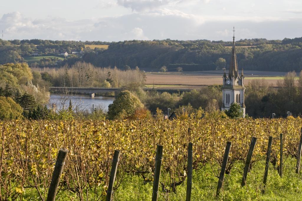 Gite Du Domaine Du Haut Perron Vila Thésée Exterior foto