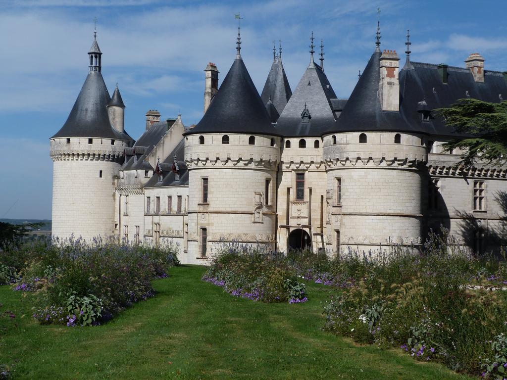 Gite Du Domaine Du Haut Perron Vila Thésée Exterior foto